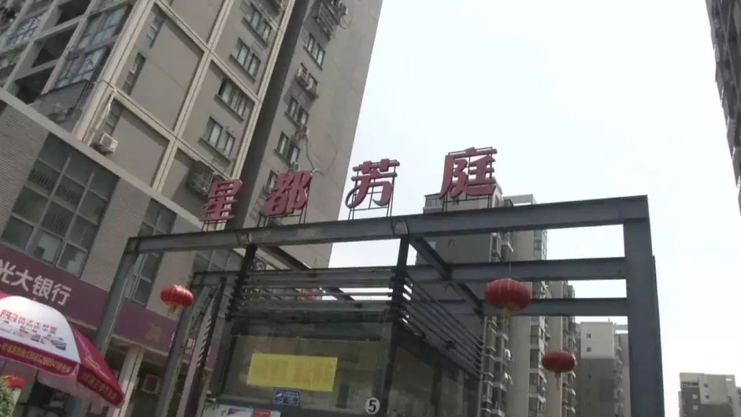 香巷六宝资料大全
