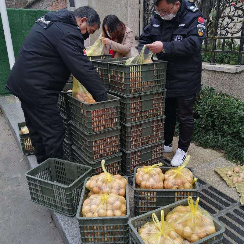 香巷六宝资料大全