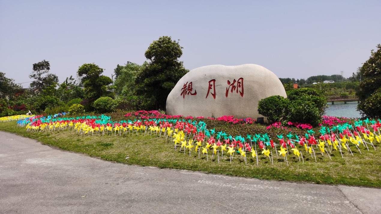香巷六宝资料大全