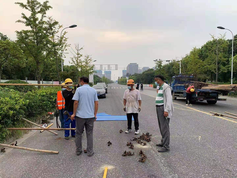 香巷六宝资料大全